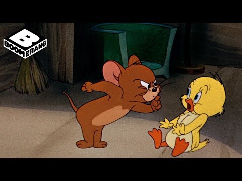 Little Quacker | Tom and Jerry | Boomerang Official
