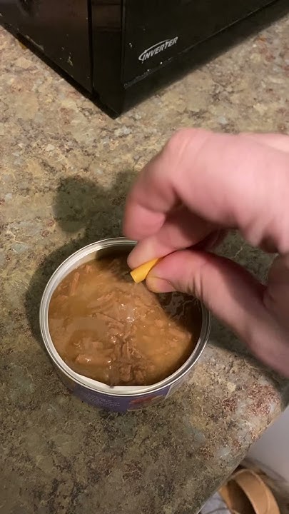 gabapentin for cats how to give