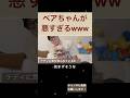 【中町兄妹】ベアちゃんがヤンチャすぎるwwwwwwww