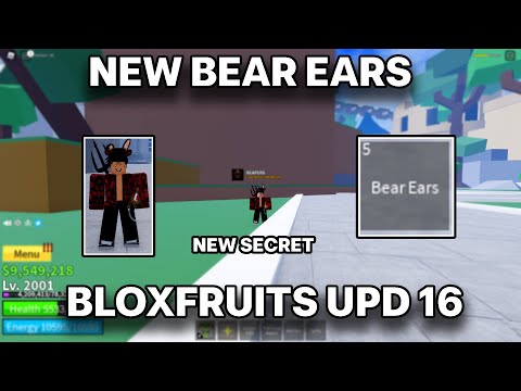 Video: Bear Ears