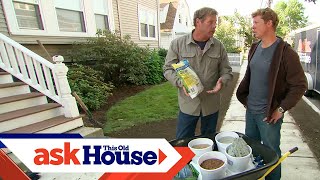 How to Patch a Lawn With Grass Seed | Ask This Old House