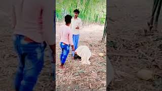 Download Lagu Comedy video cuta ke khail bhat MP3