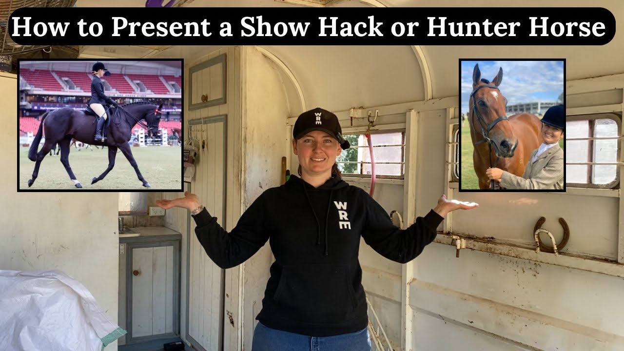 How to Present a Show Hack or Show Hunter For Showing | Show Horse Presentation Tips And Tricks