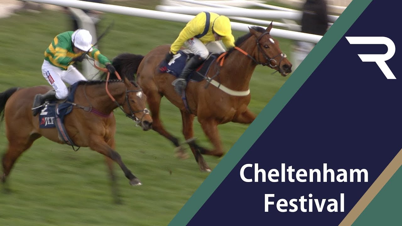 2019 JLT Novices' Chase Racing TV YouTube