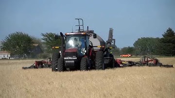 planting soybeans into rye 1