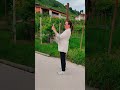 🚘 Индивидуальная экскурсия на машине с личным гидом по винному маршруту Просекко. Описание ниже⬇️