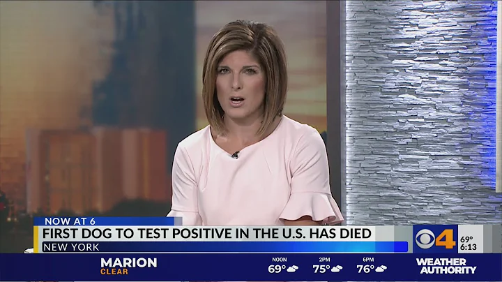 First dog to test positive for COVID-19 in U.S. dies