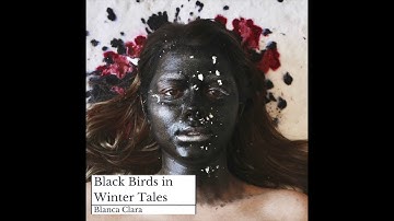 Black Birds in Winter Tales