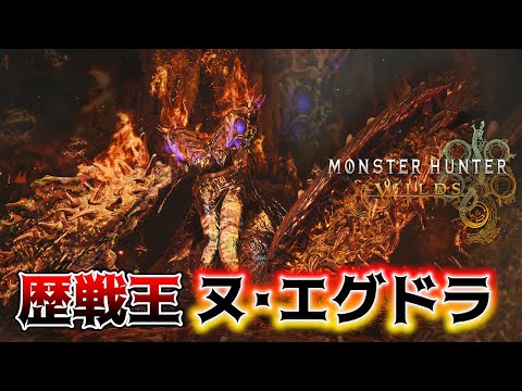 チャレクエ歴戦王ヌ・エグドラ行ってみるぞー！ちなみに音ズレ治ってないかも；；【モンハンワイルズ】