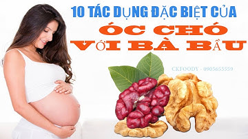 10 TÁC DỤNG ĐẶC BIỆT CỦA HẠT ÓC CHÓ VỚI BÀ BẦU.(Ckfoody)