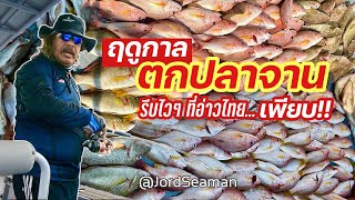 ปลาจานมาแล้ว!!! ฤดูกาลตกปลาจาน ทะเลอ่าวไทย..รีบเร็วไว เพียบ!! | @JordSeaman