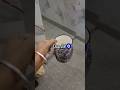day 24 of mini vlogging #shorts#mimivlog #anotherday #viral#trending #dailyshorts