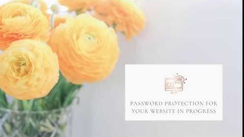 Password protection for your website in progress