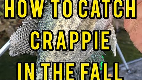 HOW TO LOCATE AND CATCH CRAPPIE IN THE FALL