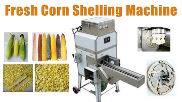 Automatic Fresh Corn Shelling Machine | Boost Your Farm