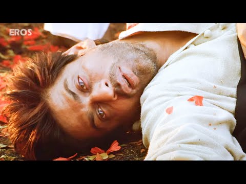 Devdas DIED without Meeting Paro   Aishwarya Rai Bachchan Shahrukh Khan  Devdas Movie Scene