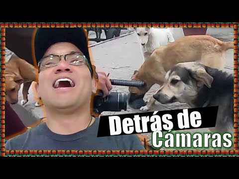 ESCENAS Eliminadas y Errores detrás de cámaras🇬🇹😂 | GT en 7 días