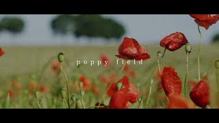 poppy field
💻 STREAM / DOWNLOAD: https://lofihiphop.de/poppyfield
Lost in the melodies of Poppy Field, where the warmth of childhood summers comes rushing back. 🌻✨ This dreamy lofi track wraps you in nostalgia, taking you back to endless days under the sun, just like we remember.
Out on @tamamusic
🔊 License:
This song is free to use on YouTube and social media but you MUST include the following credits in your videos description (Copy & Paste), follow Tama’s Little Music shop on YouTube and ring the bell. 🔔
🎵 Music poppy field by ‘kyu’
https://youtu.be/0xqLO5jxgFo
💿 Listen everywhere:
https://lofihiphop.de/poppyfield
✅ For more Copyright Free Music visit:
https://youtube.tamamusic.com
📥 Free download : https://lofihiphop.de/poppyfield
#ambient #lofiambient #ambientmusic #lofi #lofihiphop #nocopyrightmusic #kayou poppy field