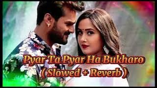 Pyar Ta Pyar Ha Bukharo ( Slowed   Reverb ) Khesari Lal yadav new song | lofimusic 560 |