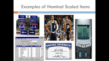 Variables, Scales of Measurement, and Research Methodology