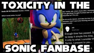 The Sonic Fanbase PROBLEM...