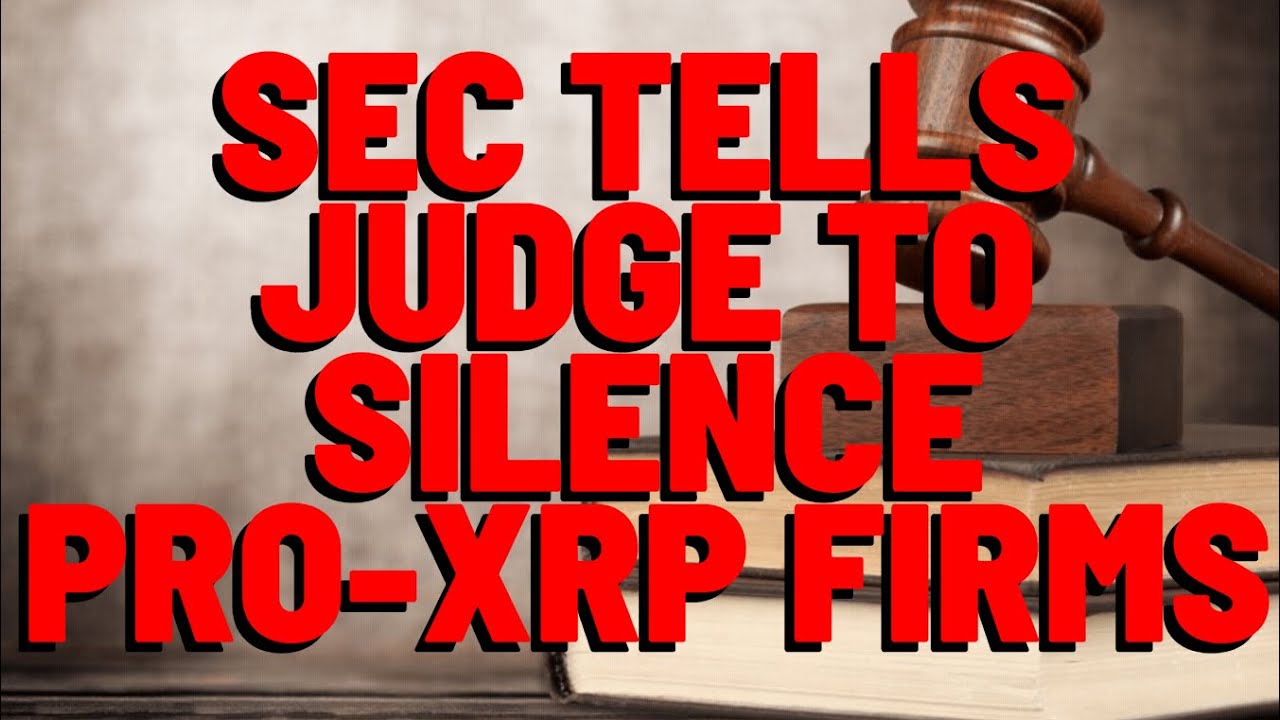 SEC To Judge: SCRAP THE PRO-RIPPLE AMICUS BRIEFS
