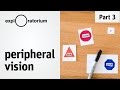 Do the experiment: Peripheral Vision - Science Snacks activity
