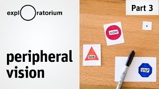 Do The Experiment Peripheral Vision - Science Snacks Activity