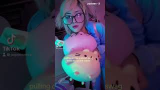 i have so much pusheens they’re so cute #cutecore #pusheen #pastel #scene #kawaii