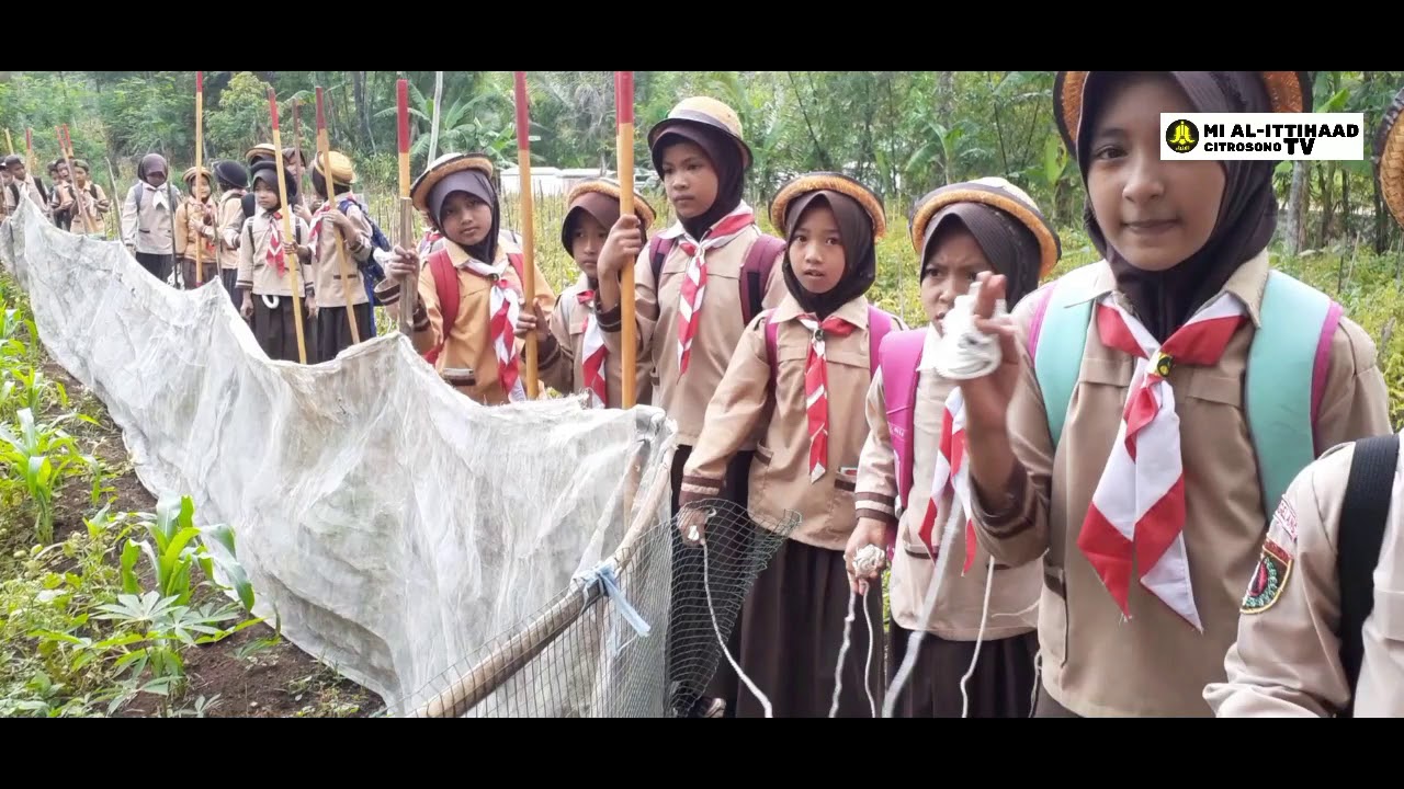 Pramuka MI Al-Ittihaad Citrosono