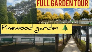 BEAUTIFUL GARDEN IN MANIPUR//PINEWOOD GARDEN// Angtha, Manipur
