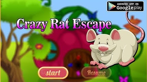Avm Crazy Rat Escape Walkthrough [AvmGames]