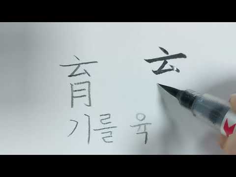 (천자문) 기를육_114 애육여수 [연필로 쓰시는 걸 추천드려요.]