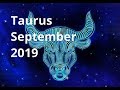 ♉ TAURUS | Tarot Reading | September 2019