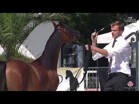  186         2024    1