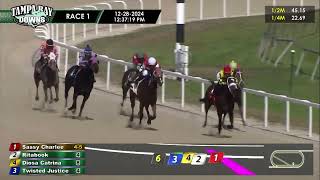 Tampa Bay Downs Carrera 1 - 28 de Diciembre 2024