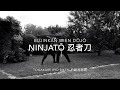 Bujinkan  togakure ryu ninjat