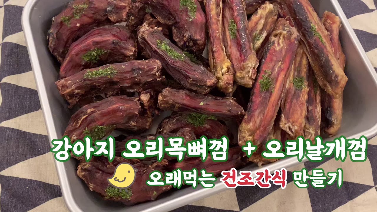 [가성비 갑👍 강아지간식] 오래먹는 오리목뼈껌&오리날개껌 건조간식 만들기