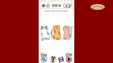 Brain Test Level 29 solution Which cat is on the right