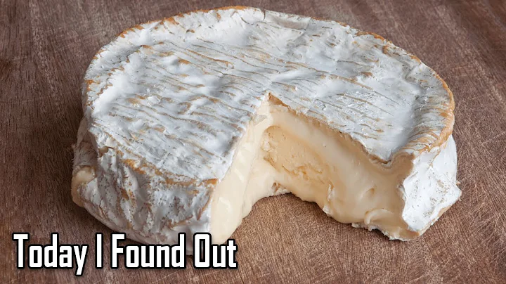 Exploring the Delight of Cheese Rinds: Is it Safe to Eat?