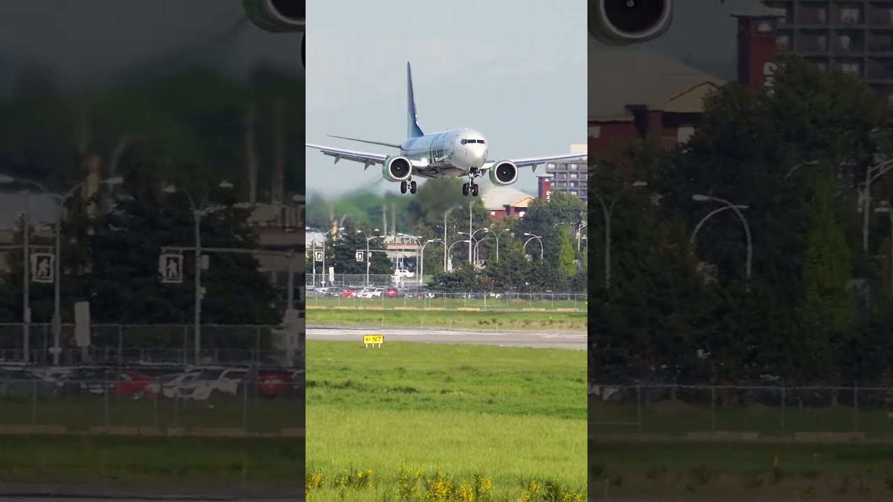 Hard Landing 