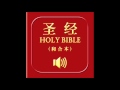 和合本圣经 • 马太福音 | Chinese Union Version Bible • Matthew