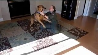 US Soldier Reunites With Her Dog