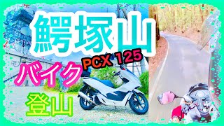 【休日の過ごし方】【鰐塚山】PCX125 ワクワクドキドキのバイクで山登り
