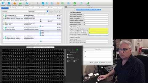 Vignette sACN Triggers