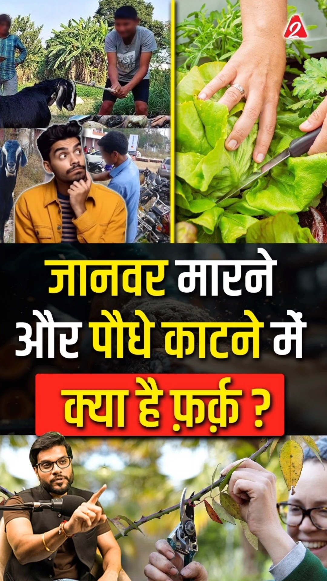 जानवर मारने और पौधे काटने में क्या है फ़र्क़ ? #shorts #youtubeshorts by Dr. #arvindarora