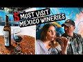 5 Must Visit WINERIES in the VALLE DE GUADALUPE | Ensenada Mexico