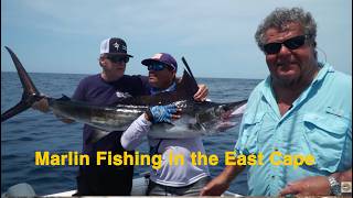 Marlin Fishing in the East Cape