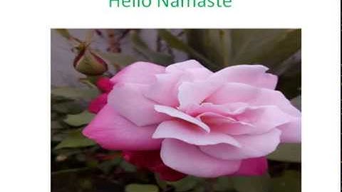 Transformation : Inversion circle