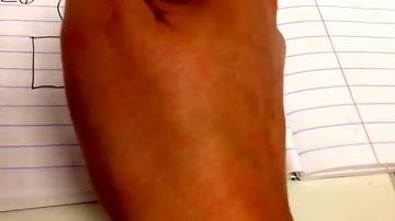 3.3 Area Models and Partial Products